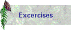 Excercises